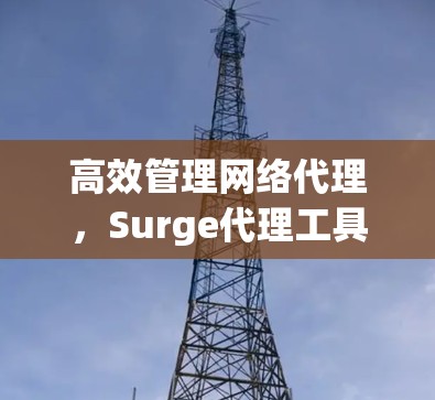 高效管理网络代理,Surge代理工具安装指南 高效管理网络代理,Surge代理工具安装指南