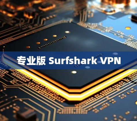 专业版 Surfshark VPN 专业版 Surfshark VPN