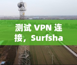 测试 VPN 连接,Surfshark VPN 网络检测与防护指南 测试 VPN 连接,Surfshark VPN 网络检测与防护指南