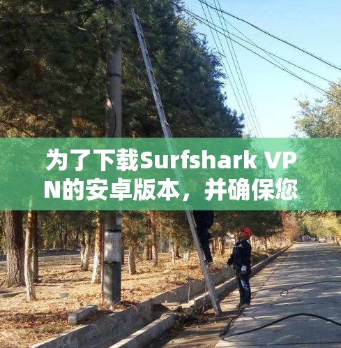 为了下载Surfshark VPN的安卓版本，并确保您的隐私得到保护，您可以按照以下步骤进行操作