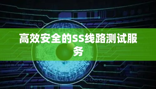 高效安全的SS线路测试服务