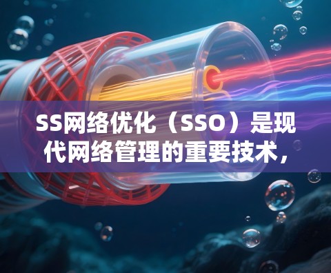 SS网络优化（SSO）是现代网络管理的重要技术，旨在通过自动化和智能化的方法，提升网络的性能、安全性以及可扩展性。以下是对 SS网络优化的详细介绍和关键点