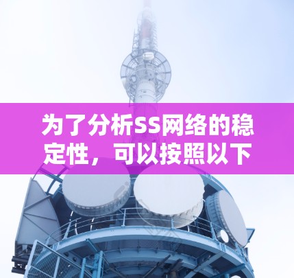 为了分析SS网络的稳定性，可以按照以下步骤进行