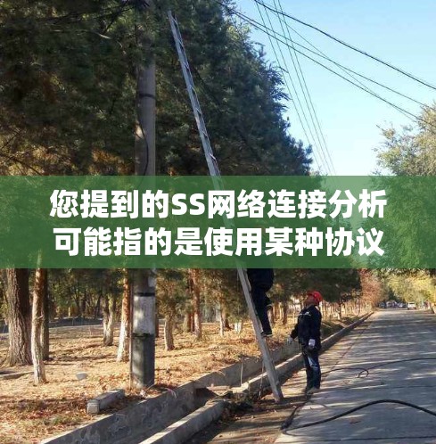您提到的SS网络连接分析可能指的是使用某种协议进行的网络连接,如SS7、TCP等。以下是一些常见的SS网络连接分析结果和相关分析 您提到的SS网络连接分析可能指的是使用某种协议进行的网络连接,如SS7、TCP等。以下是一些常见的SS网络连接分析结果和相关分析