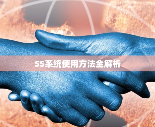SS系统使用方法全解析