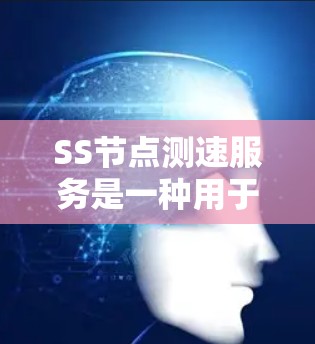 SS节点测速服务是一种用于检测和监控网络中节点之间的数据流量和传输速度的服务，广泛应用于企业网络监控、云环境管理以及设备管理等领域。以下是对该服务的详细介绍
