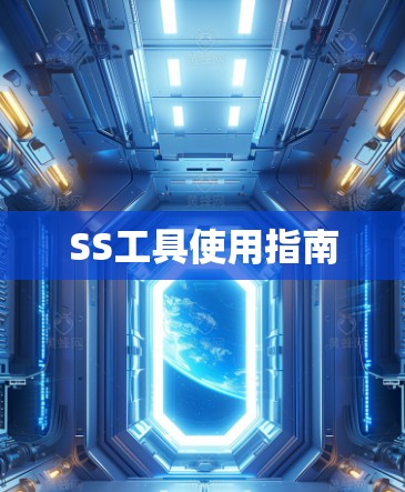 SS工具使用指南 SS工具使用指南