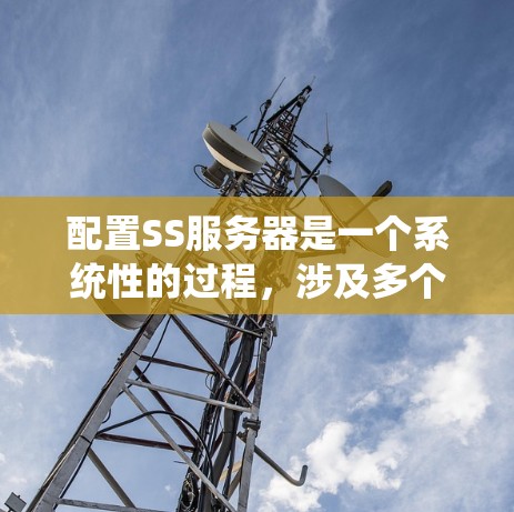 配置SS服务器是一个系统性的过程,涉及多个步骤,每个步骤都需要仔细处理以确保服务器的稳定和高效运行。以下是详细的配置方法 配置SS服务器是一个系统性的过程,涉及多个步骤,每个步骤都需要仔细处理以确保服务器的稳定和高效运行。以下是详细的配置方法