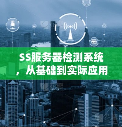 SS服务器检测系统,从基础到实际应用 SS服务器检测系统,从基础到实际应用