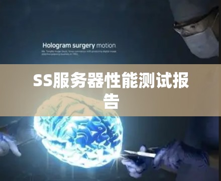 SS服务器性能测试报告 SS服务器性能测试报告
