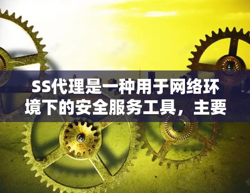 SS代理是一种用于网络环境下的安全服务工具，主要用于处理复杂的请求，确保网络的安全性。以下是对SS代理的详细总结