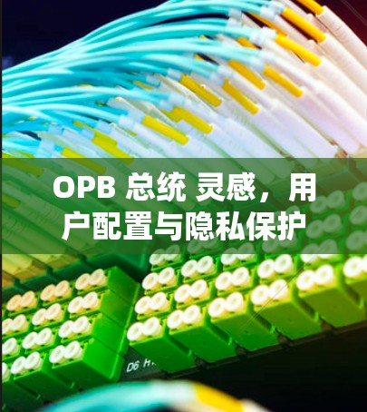 OPB 总统 灵感,用户配置与隐私保护 OPB 总统 灵感,用户配置与隐私保护