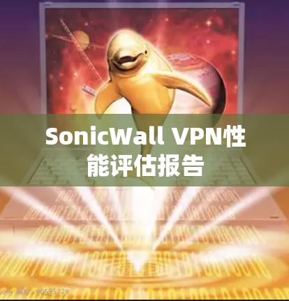 SonicWall VPN性能评估报告