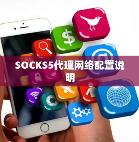 SOCKS5代理网络配置说明 SOCKS5代理网络配置说明
