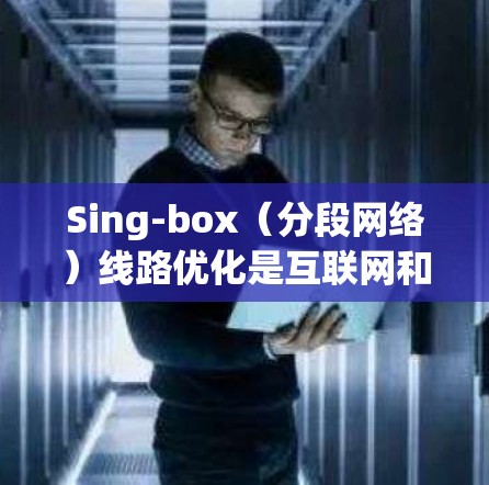 Sing-box（分段网络）线路优化是互联网和无线网络中一个关键的技术问题，旨在提高网络性能、降低成本并增强网络的可靠性。以下是一些主要的Sing-box线路优化方法和步骤