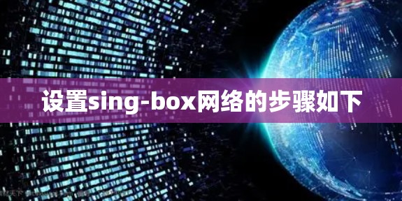 设置sing-box网络的步骤如下 设置sing-box网络的步骤如下