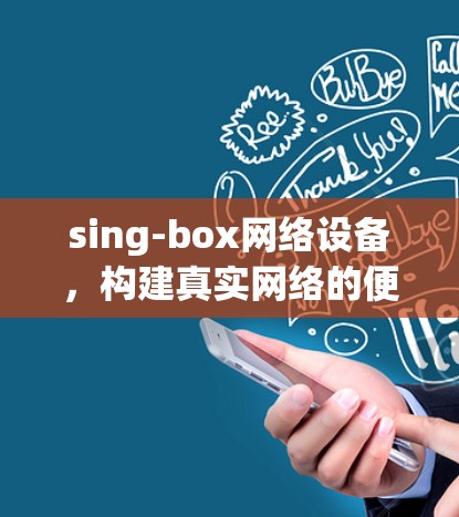 sing-box网络设备，构建真实网络的便捷工具