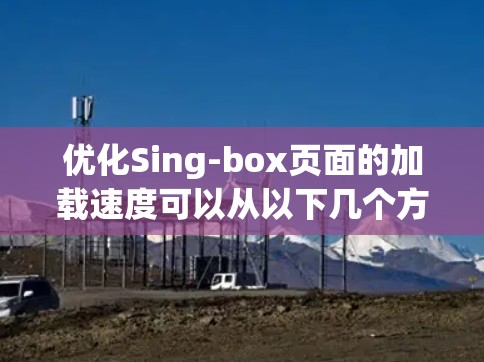 优化Sing-box页面的加载速度可以从以下几个方面入手 优化Sing-box页面的加载速度可以从以下几个方面入手