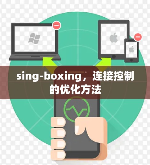 sing-boxing，连接控制的优化方法