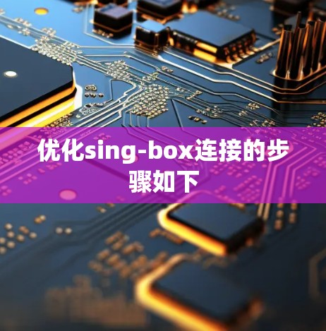 优化sing-box连接的步骤如下