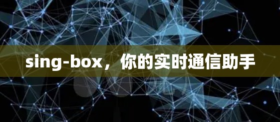 sing-box,你的实时通信助手 sing-box,你的实时通信助手