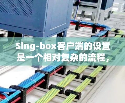Sing-box客户端的设置是一个相对复杂的流程，通常需要遵循以下步骤和注意事项