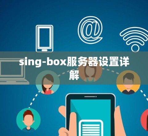 sing-box服务器设置详解