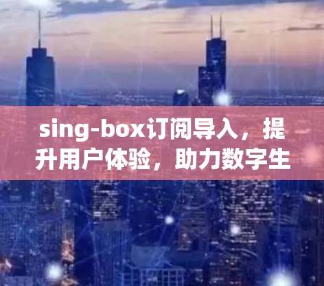 sing-box订阅导入，提升用户体验，助力数字生活