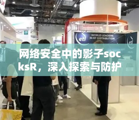 网络安全中的影子socksR，深入探索与防护指南