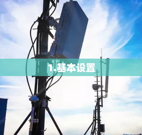 1.基本设置 1.基本设置