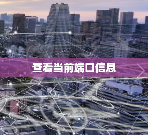 查看当前端口信息 查看当前端口信息