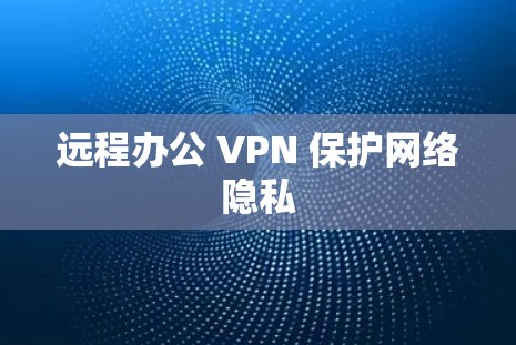 远程办公 VPN 保护网络隐私 远程办公 VPN 保护网络隐私