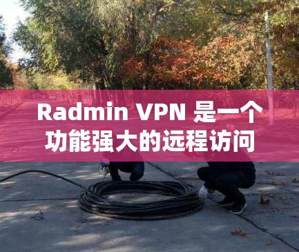 Radmin VPN 是一个功能强大的远程访问服务器的工具，适合需要远程访问多台服务器的用户。以下是使用 Radmin VPN 的步骤和详细指南