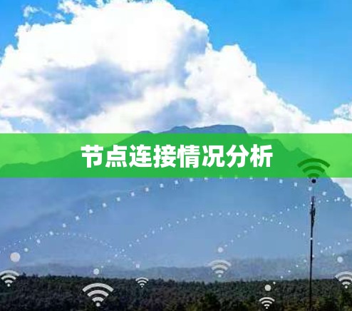 节点连接情况分析