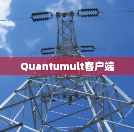 Quantumult客户端
