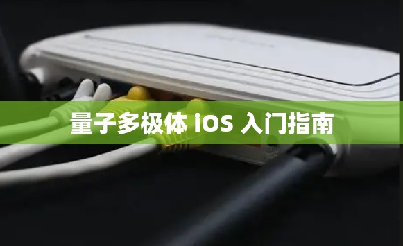 量子多极体 iOS 入门指南