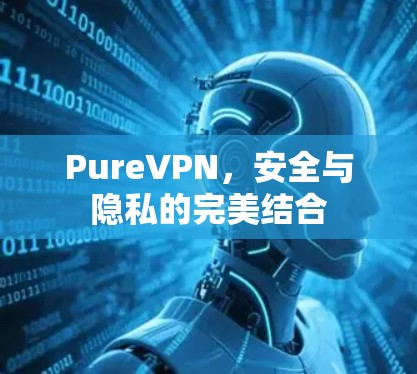 PureVPN,安全与隐私的完美结合 PureVPN,安全与隐私的完美结合