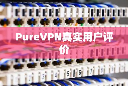 PureVPN真实用户评价 PureVPN真实用户评价