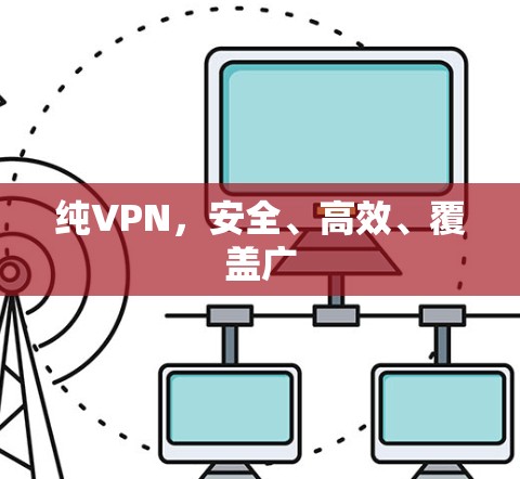 纯VPN,安全、高效、覆盖广 纯VPN,安全、高效、覆盖广