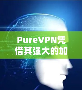 PureVPN凭借其强大的加密技术、多设备同步和动态更新，其稳定性和用户体验在稳定方面表现出色。以下是对其稳定性的详细分析