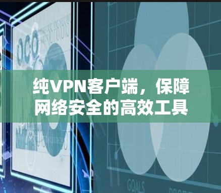 纯VPN客户端,保障网络安全的高效工具 纯VPN客户端,保障网络安全的高效工具