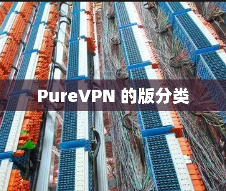 PureVPN 的版分类 PureVPN 的版分类