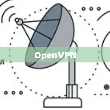 OpenVPN