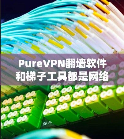 PureVPN翻墙软件和<strong>梯子</strong>工具都是网络连接的工具，但它们的功能和用途有所不同。以下是它们的详细对比和特点
