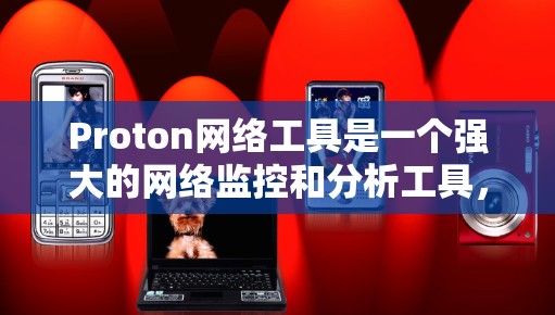 Proton网络工具是一个强大的网络监控和分析工具，涵盖了从监控到数据清洗到可视化等多个方面，对于用户和团队来说具有很大的实用性。以下是详细的解决方案