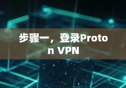 步骤一，登录Proton VPN