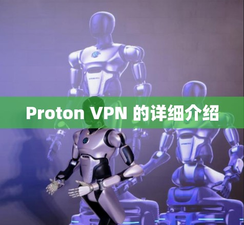 Proton VPN 的详细介绍