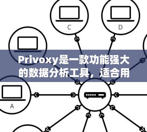 Privoxy是一款功能强大的数据分析工具，适合用于市场研究、数据分析和报告生成。以下是对其使用体验的分析