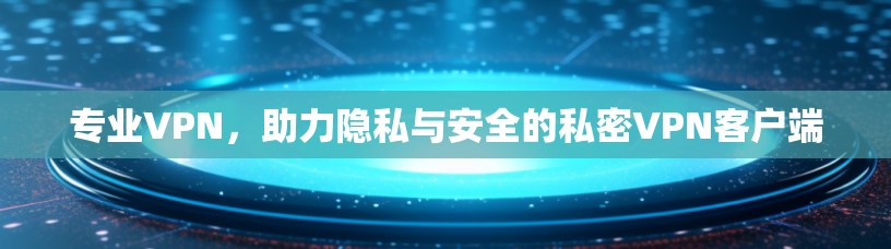 专业VPN，助力隐私与安全的私密VPN客户端