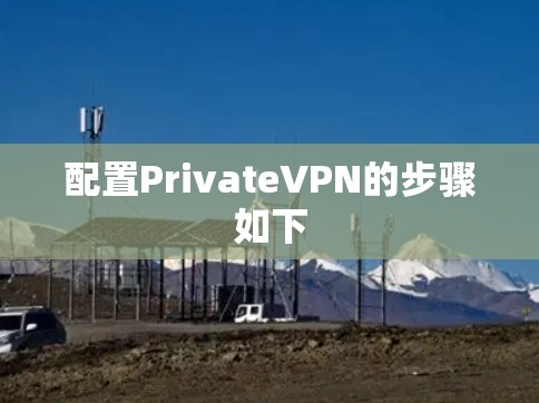配置PrivateVPN的步骤如下